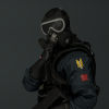 Kampfbereit