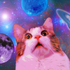 Котенок Эрл