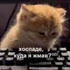 Эвелина Чумак