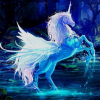 Hawk_Of_Moon