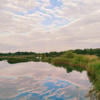 Ники Кири