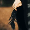 alice__
