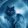 BlueSunRay