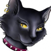 Gatanegra