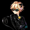 ._Cat__Noir_.
