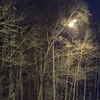 Флагшток