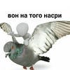 Jesvija