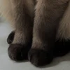 Hello mha-