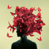 Miss Nameless