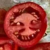 Помидор говорящий
