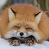 ПельмешкиВарим