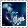 .forget-me-not