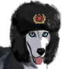 Lady Schatze