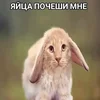 покаянная