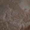 Ania.V
