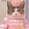Доктор Котик