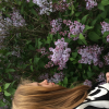Silver_Terre