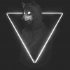 cvazar