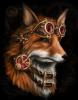 foxOKmimi