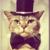 Котик_в_шляпке 2.0