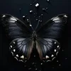 DarkDictator