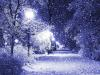 FrozenNight