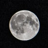 dead moon...