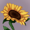 _YeLLoWhATER