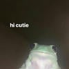 Кото _ Птица