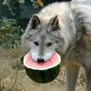 фуковский рис
