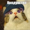 AbriToshecka