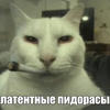 Kamaz_v_derme