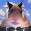 _stupid pig_