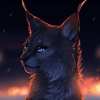 belkaonfire