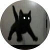 fickat1na