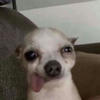 Ulywzzx