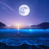 Silver ash of the moon