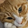 plushkaa1
