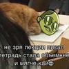 Чёрная галка