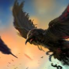 ShadowCorvus