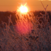 Winter sunrise