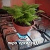 любитель капуст