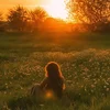 Milana13_...
