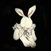 lapin.