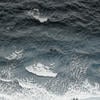 HellyBelly