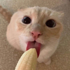 pusmommy