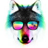 Wild_Wolves