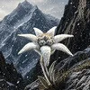 EdelWeiss__