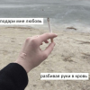 Зеленоглазый котик_-