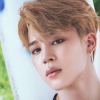 __s.j.b.__